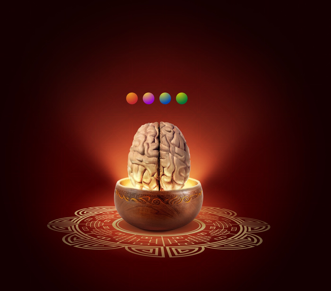 Tameri BIG — Brain