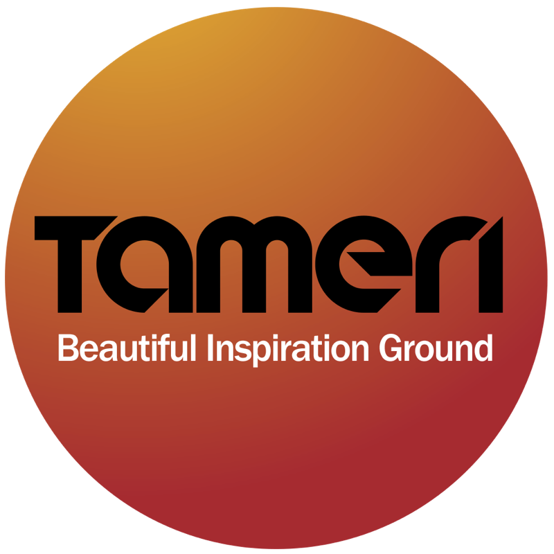Tameri BIG — logo